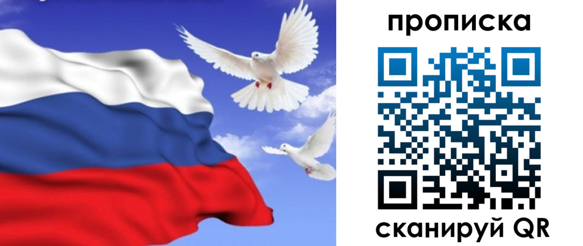 временная регистрация гарантия в Можайске